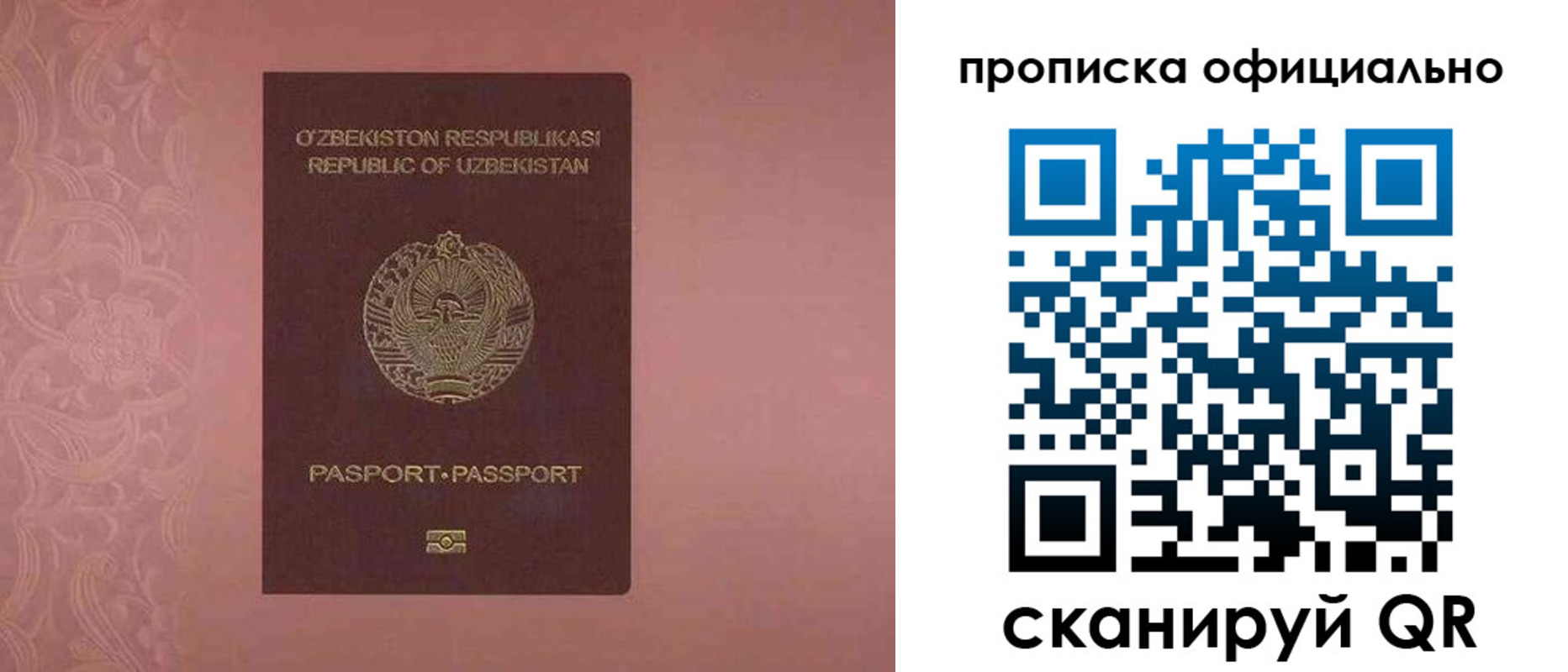 прописка для школы в Абдулино